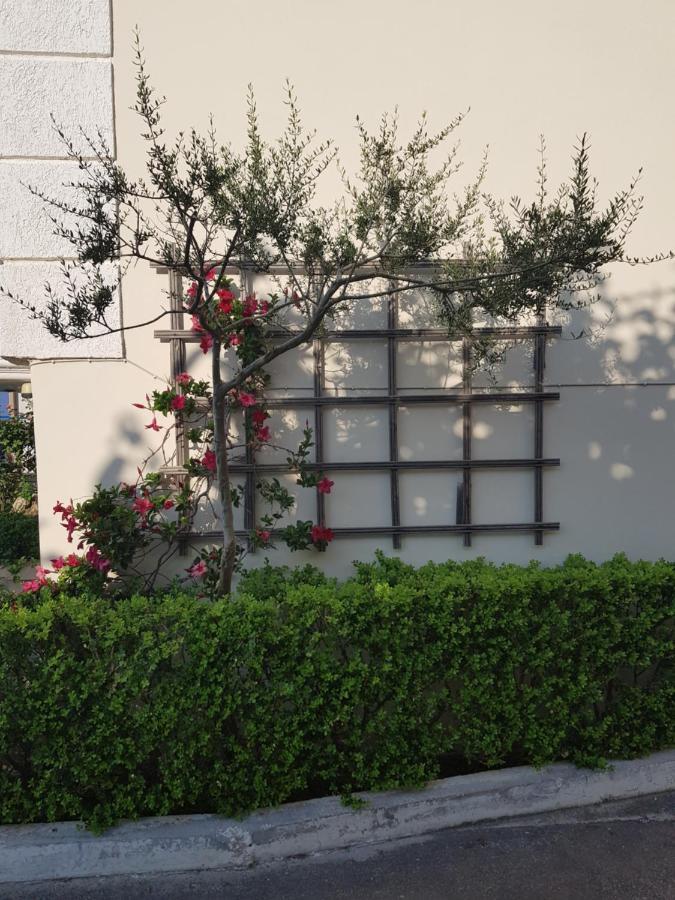 Schinas Apts. Apartment Tolofon Ngoại thất bức ảnh